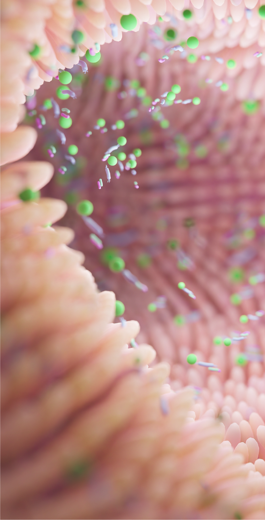 Hydrocolonic Support Gut