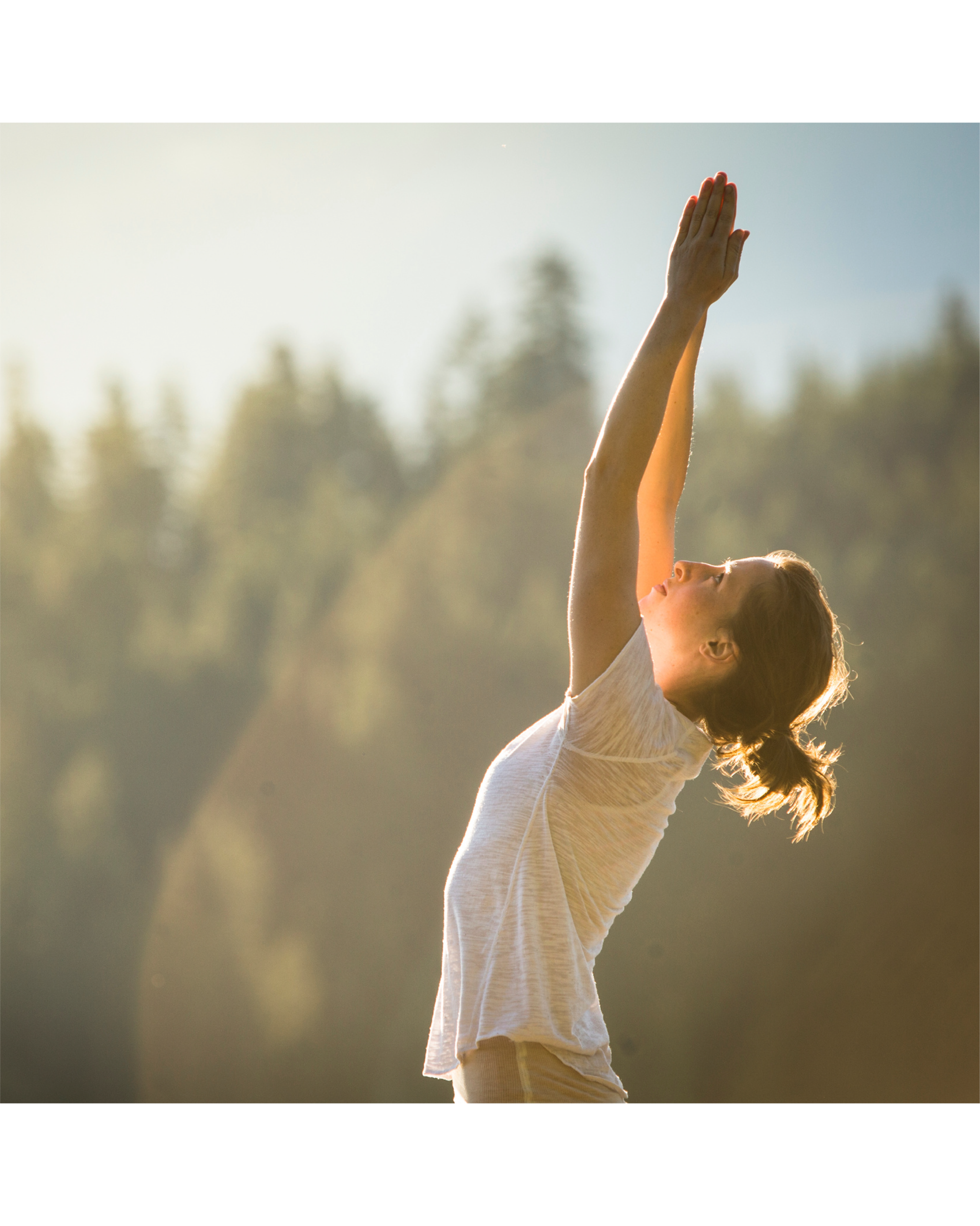Heavy Metal Detox
